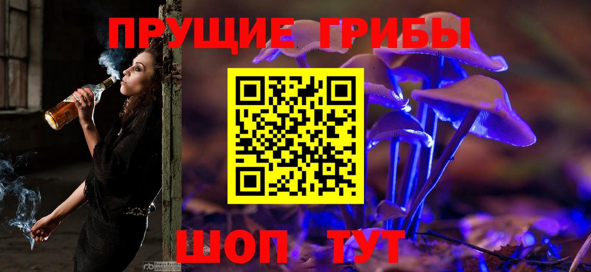 Псилоцибиновые грибы прущие грибы Гудермес
