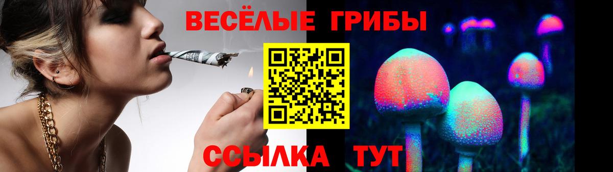 Гудермес  Псилоцибиновые грибы мухоморы  Вход с VPN 